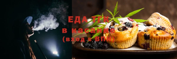 крисы Абаза