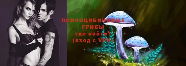 мяу мяу мука Абдулино