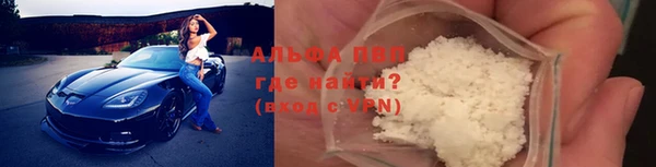 крисы Абаза