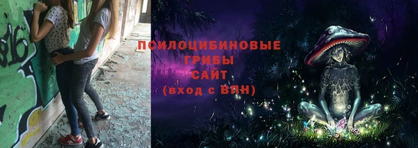 дурь Алзамай