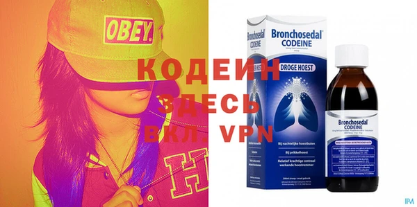 крисы Абаза