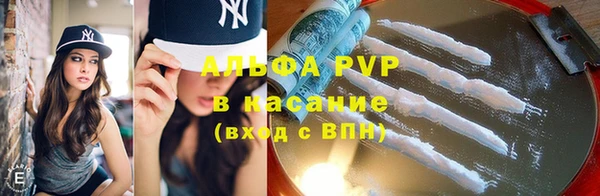 крисы Абаза