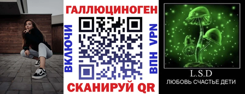 mega ТОР  купить наркотик  Новоаннинский  Псилоцибиновые грибы мицелий 